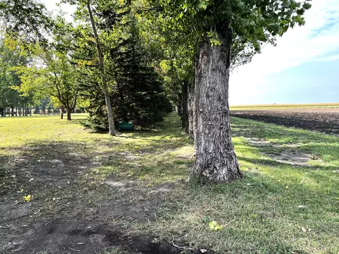 792 5th Ave NE, Thompson, ND 58278 photo 46