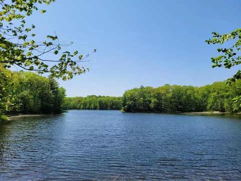 28595 Golf Course Cir, Randall, MN 56475