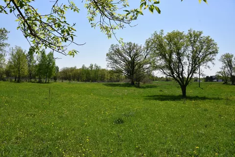 7441 Cedar Rd, Milaca, MN 56353 photo 23