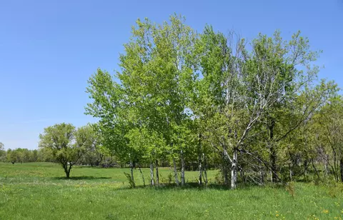 7441 Cedar Rd, Milaca, MN 56353 photo 12