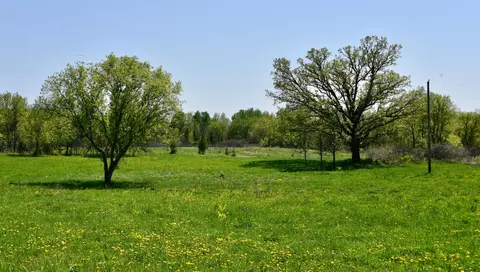 7441 Cedar Rd, Milaca, MN 56353 photo 3