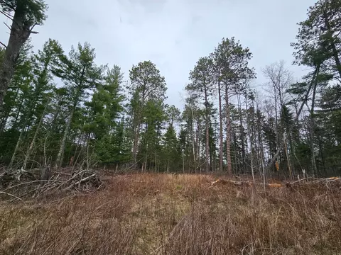 tbd Forbes Ln, Longville, MN 56655