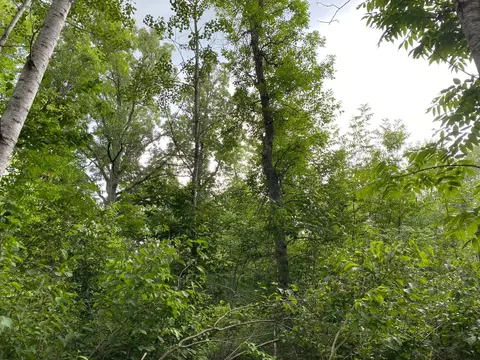 4750 Split Rock Rd, Split Rock Twp, MN 55783 photo 6