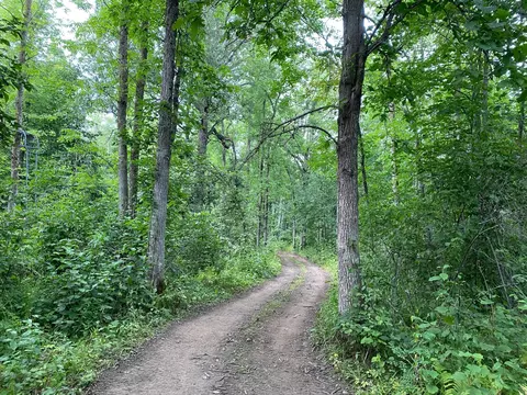 4750 Split Rock Rd, Split Rock Twp, MN 55783 photo 17