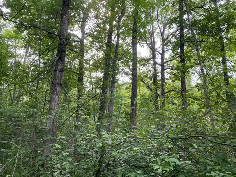 4750 Split Rock Rd, Split Rock Twp, MN 55783 photo 4