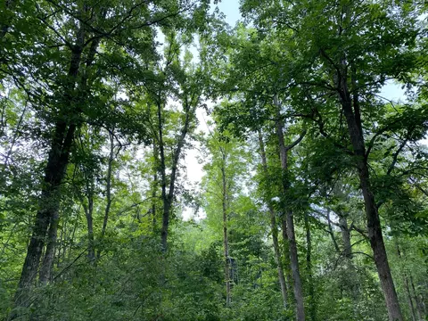 4750 Split Rock Rd, Split Rock Twp, MN 55783 photo 16