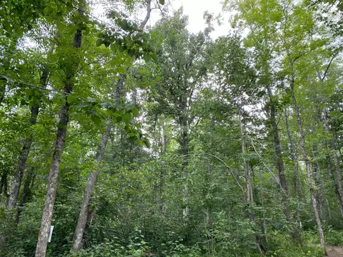 4750 Split Rock Rd, Split Rock Twp, MN 55783 photo 8