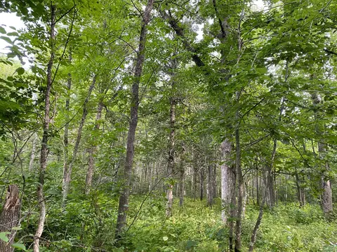 4750 Split Rock Rd, Split Rock Twp, MN 55783 photo 7