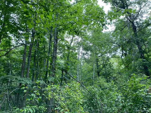 4750 Split Rock Rd, Split Rock Twp, MN 55783 photo 10