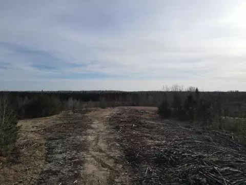 225 Itasca County Road 225, Bigfork, MN 56628