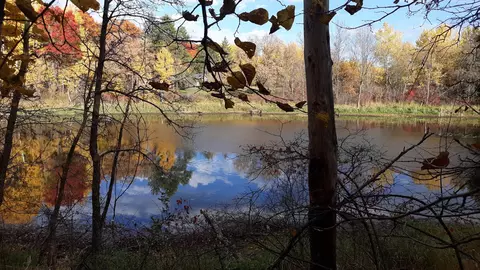 Nnn Oriole Court, Browerville, MN 56438