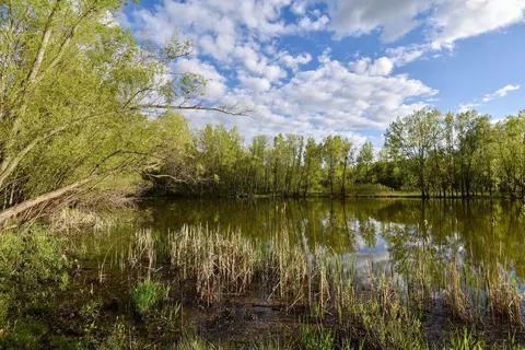 Other - 1504 Thomas Ln, Eagan, MN 55122 photo 26 of 37