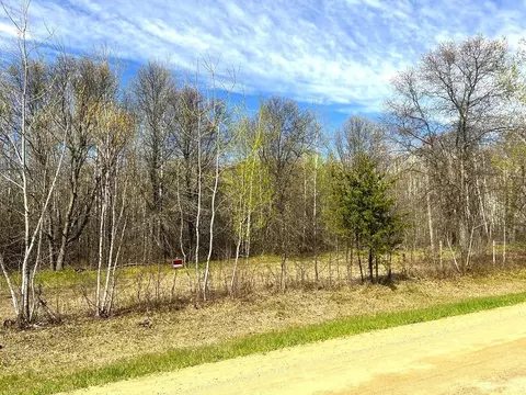 Nnn 110th Street, Menahga, MN 56464