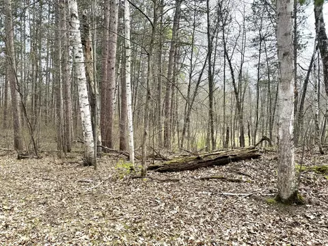tbd Norway Pine Ln, Emily, MN 56447