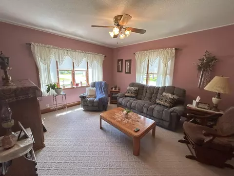 249 W Sorenson Ave, Appleton, MN 56208 photo 12