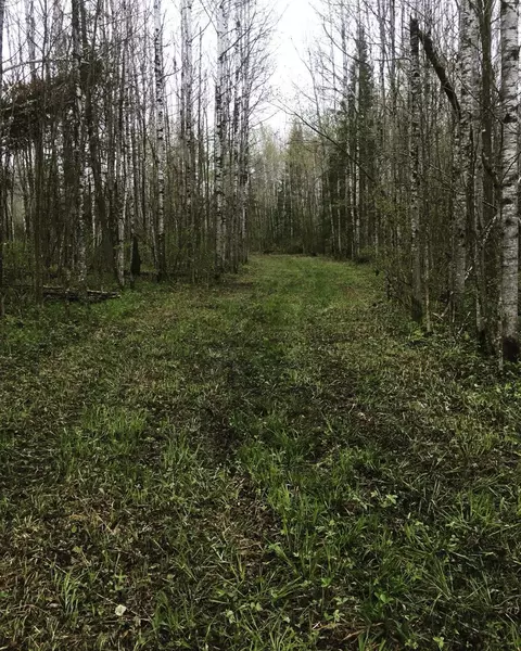 tbd County Road 14, Wirt, MN 56628