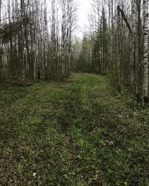 Tbd County Road 14, Wirt, MN 56628