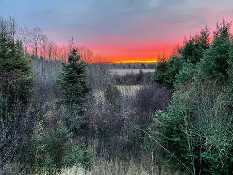 Xx34 Range Line Road, Orr, MN 55771