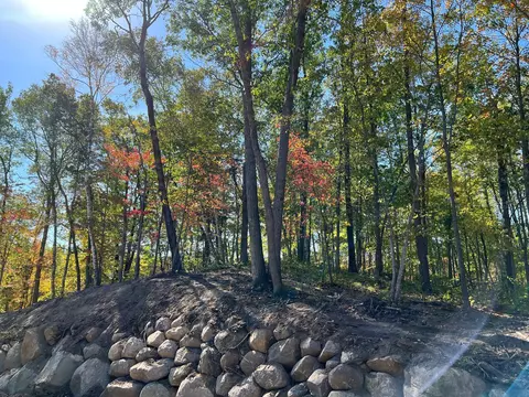 tbd 2 Ridgeway Ln, Walker, MN 56484