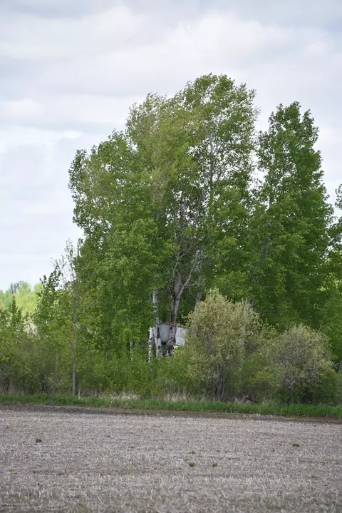 10108 150th Ave, Foreston, MN 56330 photo 68