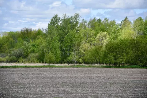 10108 150th Ave, Foreston, MN 56330 photo 65