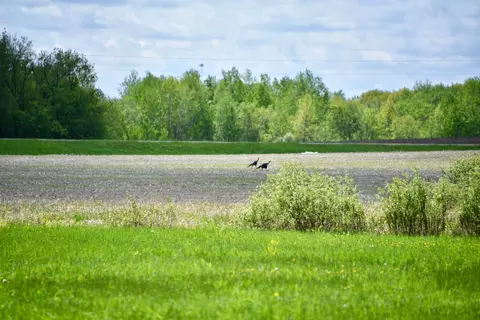 10108 150th Ave, Foreston, MN 56330 photo 57