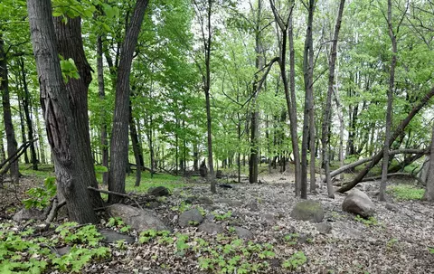 10108 150th Ave, Foreston, MN 56330 photo 92