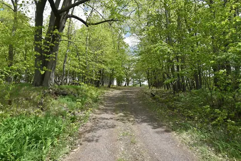 10108 150th Ave, Foreston, MN 56330 photo 73