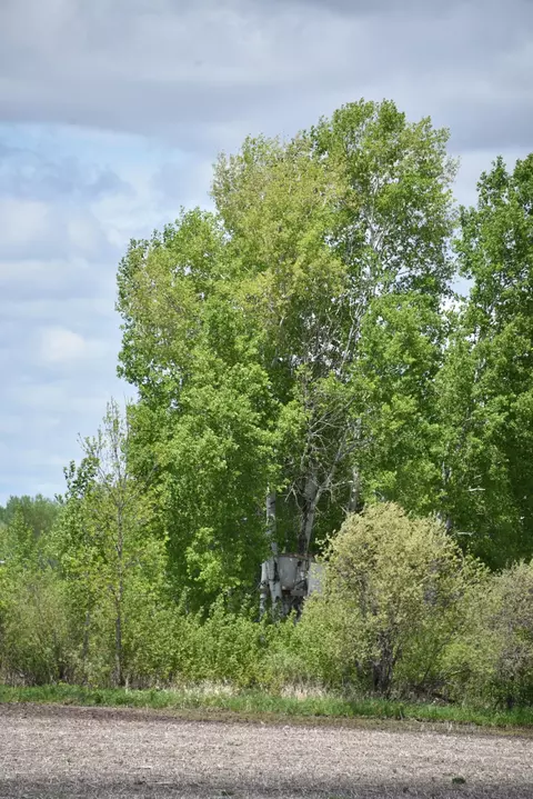 10108 150th Ave, Foreston, MN 56330 photo 69