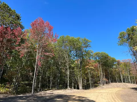 tbd Lot 4 Blk 4 Ridgeway Ln, Walker, MN 56484 photo 4