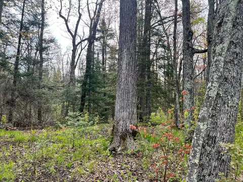 7193 Rock Dam Rd, Rutledge, MN 55795 photo 38
