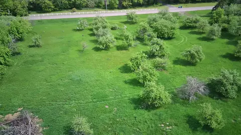 110 Nn 205th Ave NW, Elk River, MN 55330