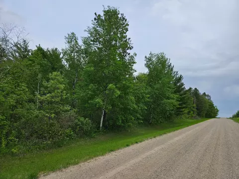 tbd 269th Ave, Leonard, MN 56652 photo 40