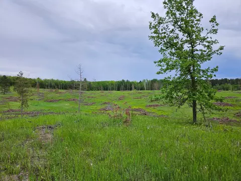 tbd 269th Ave, Leonard, MN 56652 photo 31