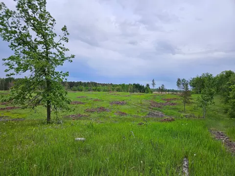 tbd 269th Ave, Leonard, MN 56652 photo 30