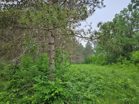 tbd 269th Ave, Leonard, MN 56652 photo 7