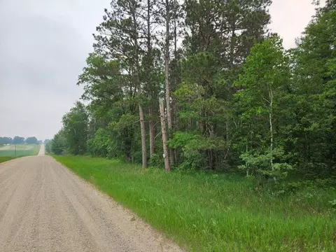 tbd 269th Ave, Leonard, MN 56652 photo 5