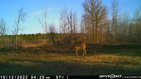 tbd 269th Ave, Leonard, MN 56652 photo 34