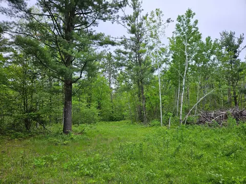 tbd 269th Ave, Leonard, MN 56652 photo 27