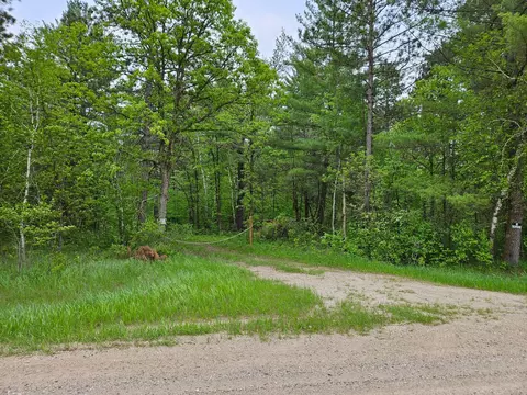tbd 269th Ave, Leonard, MN 56652 photo 33