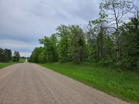 tbd 269th Ave, Leonard, MN 56652 photo 41
