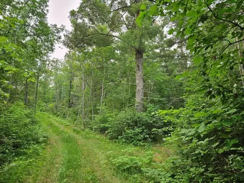 tbd 269th Ave, Leonard, MN 56652 photo 3