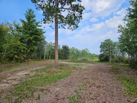 tbd 269th Ave, Leonard, MN 56652 photo 12