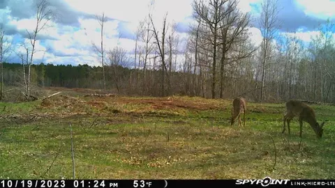 tbd 269th Ave, Leonard, MN 56652 photo 39
