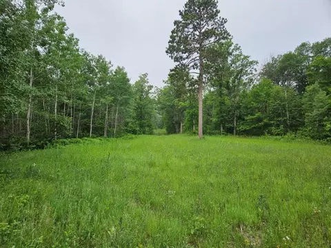 tbd 269th Ave, Leonard, MN 56652 photo 8