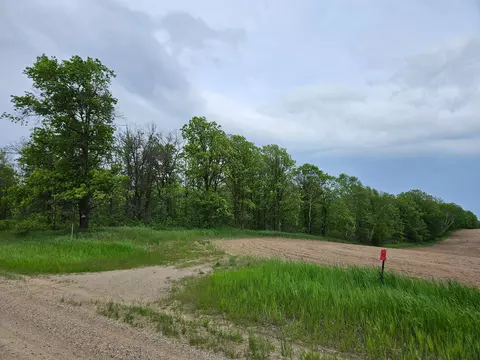 tbd 269th Ave, Leonard, MN 56652 photo 42