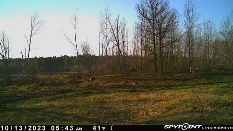 tbd 269th Ave, Leonard, MN 56652 photo 35