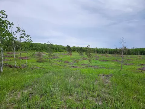 tbd 269th Ave, Leonard, MN 56652 photo 32