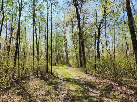 3693 Seclusion Dr NW, Powers Twp, MN 56435 photo 13