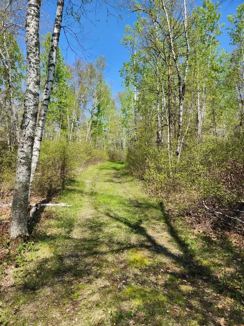 3693 Seclusion Dr NW, Powers Twp, MN 56435 photo 12